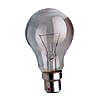 bulb